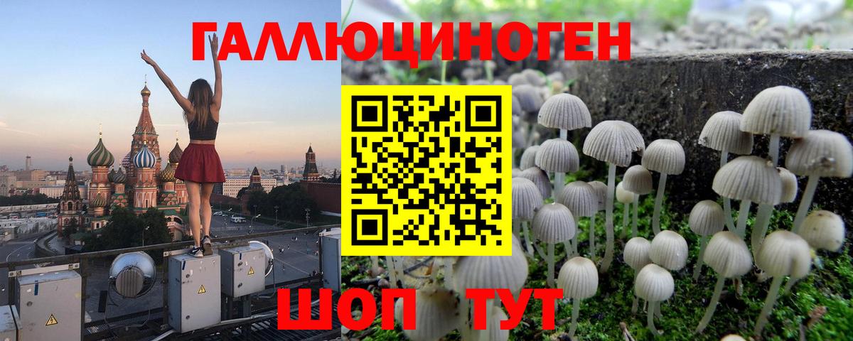 Усть-Кут  Псилоцибиновые грибы Psilocybe  Псилоцибиновые грибы Cubensis  Вход с VPN 